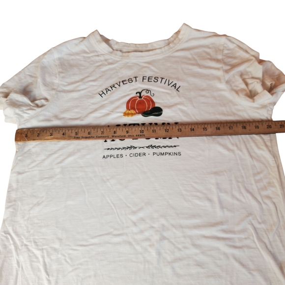 LOFT Autumn Harvest Festival Tee. LG. K0137 - Picture 5 of 8